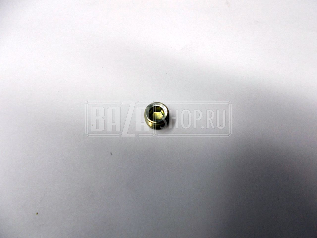 Пробка крышки гидронатяжителя М10*1 дв.ЗМЗ 406, 409 КГ 1/8" (Белебей)** / # 870884-П29